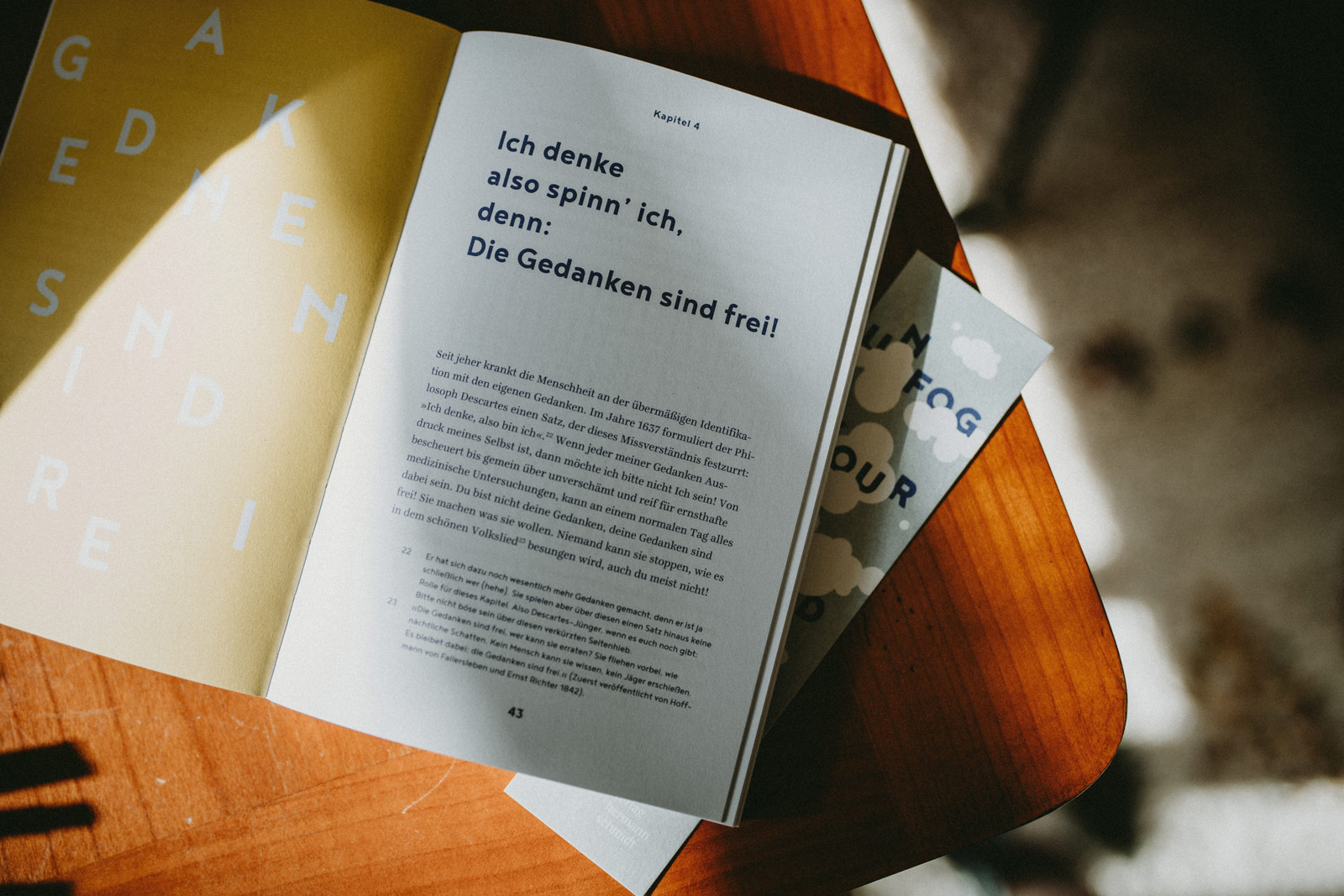 Auszug aus dem Buch: Ich denke, also spinn' ich